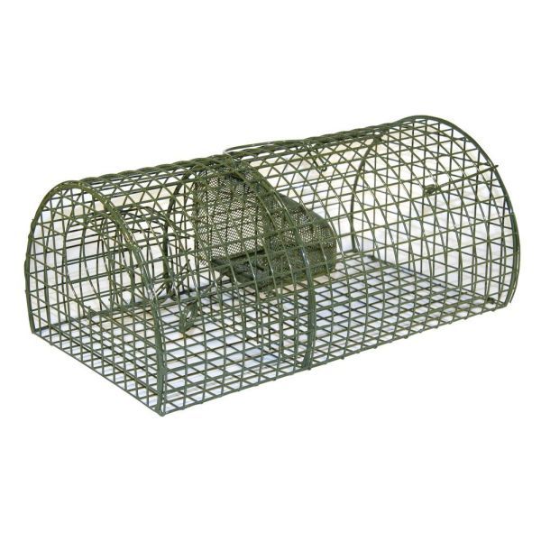 Gabbia-trappola per ratti – Cattura multipla 35,99 €